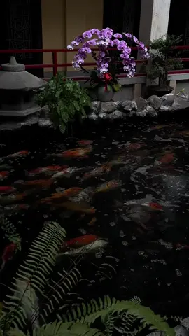 có đôi lúc, cuộc sống khiến em mệt mỏi quá, em sẽ biến mất một thời gian. đừng lo, em sẽ quay trở lại, hoặc không.. #fyp #xuhuong #viral 