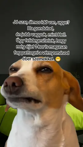 #Meme #MemeCut #CapCut 