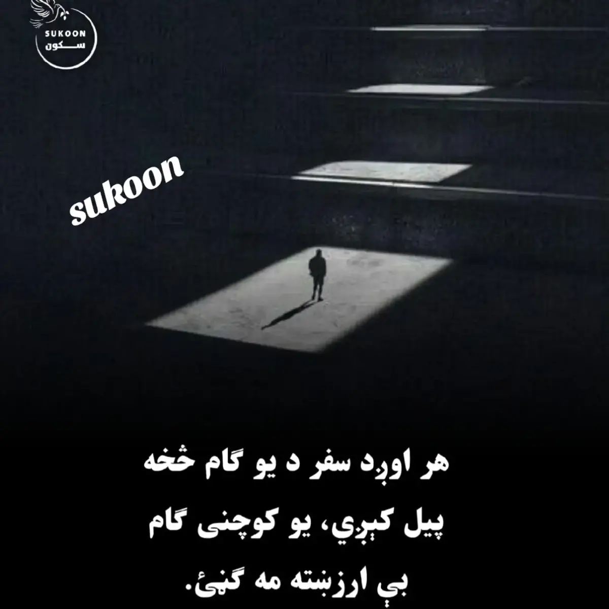 Sukoon  #viral_video #تاجک__اوزبگ__پشتون__هزاره__ترکمن #everyone #foruyou #CapCut 