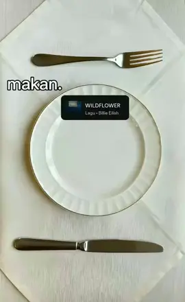 next makan apa lagi nih🤭 #wildflower#billieeilish#lyrics#4u#fyp