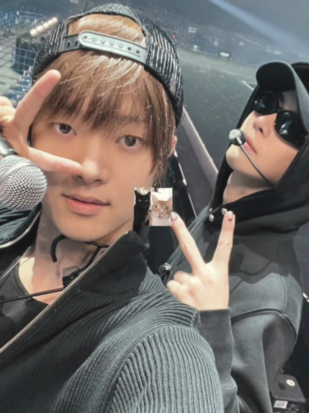 #NCEJ : 🐈‍⬛🐈 #andteam #nichojoo #fypシ #fyppppppppppppppppppppppp 