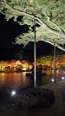 Ritsurin Garden, Kagawa Takamatsu - This place looks unreal at night🍁💛  #ritsuringarden #高松 #香川県 #autumnjapan ##momiji 