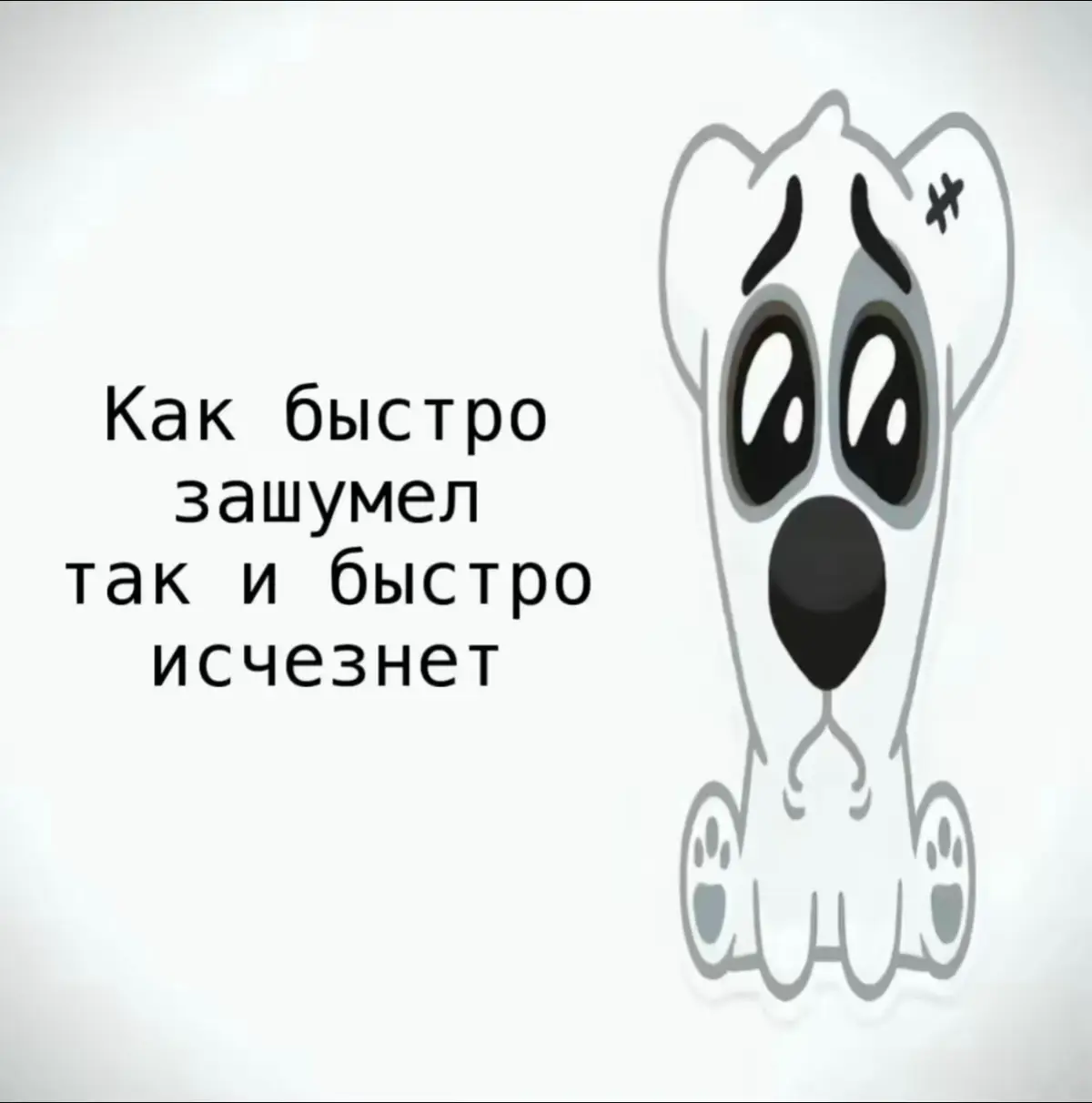 #sharmax280 #sharmax #шармакс 