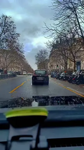 #🌹🌹🌹🌹🌹🌹🌹🌹 