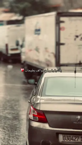 #algeria #Love #blida09_tiktok_algérie❤️🇩🇿 #الشتاء_البرد_اجواء_شتويه #الغربة_كي_واعرا_الغربة 