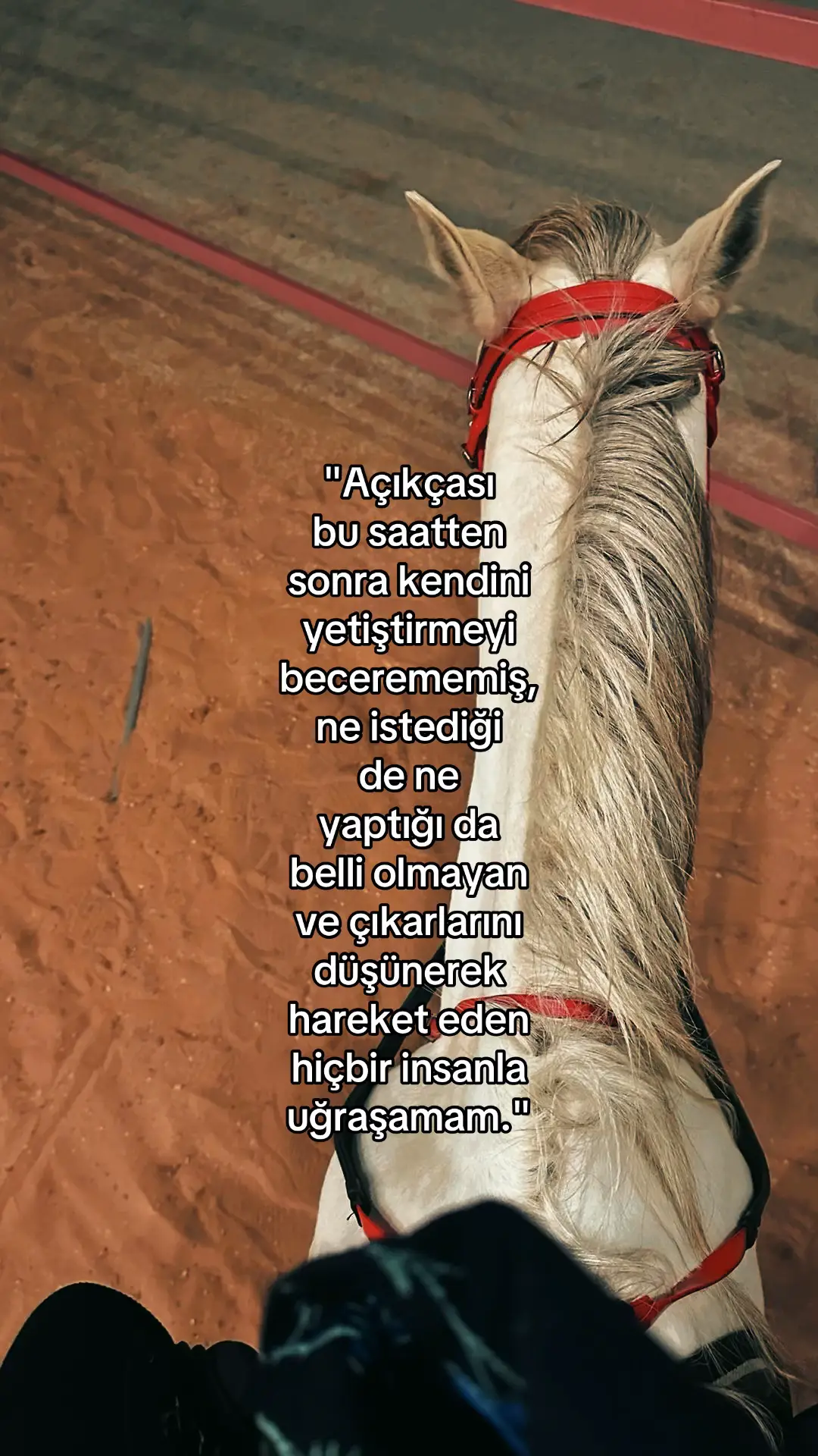 #beniöneçıkart #benionecikartiktok 