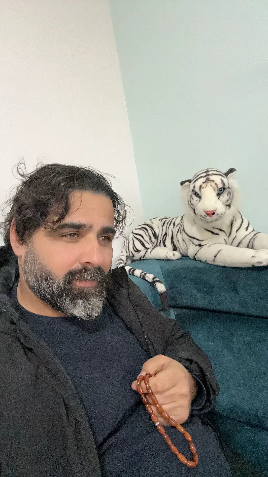 #الخيل_العربي_الاصيل #كلام_من_ذهب 