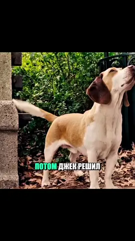 #tiktokfilmtvcompetition #filmbreaker #usmovies #moviereview 