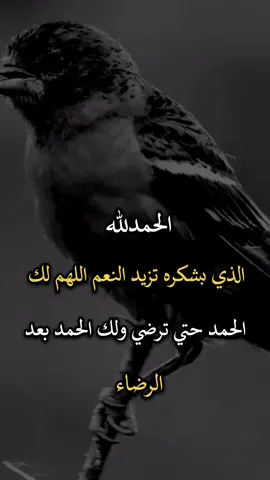 #عباراتكم_الفخمه📿📌 #افضل_عبارة_لها_تثييت، #اجمل_عبارة_راح_ثبتها📌 #افضل_عبارة_لها_تثييت 