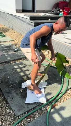 Tẩy cả nhựa chuối luôn nha bác #tammaotv #maodede #tayaotrang #taytrangquanao @Mao Đệ Daily 💓 