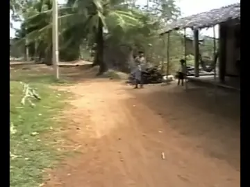 Chúc mn có giây phút xem clip hay và ý nghĩa.#kíucxua #hoainiem #kiniemtuoitho #mienquexua 