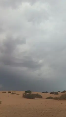 #اكسبورررررررر🥰💯❤️💞🙌 #💥⭐💫🥰💯❤️💞🙌 💥🔥❤️🎶🎼