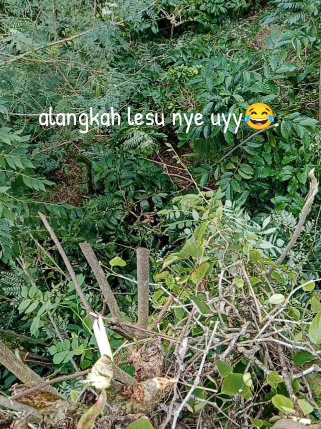 kebilelah bagian dihi 😅😂