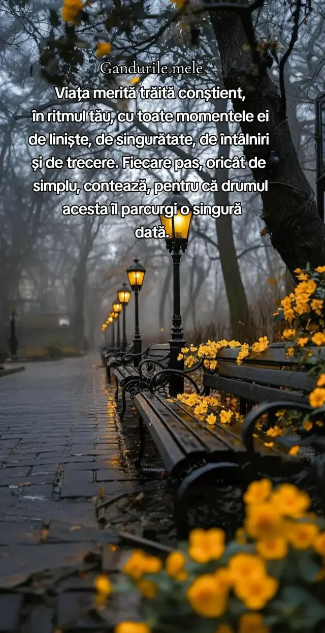 Viața seamănă cu un bulevard umbrit de copaci, pe care e mai înțelept să-l parcurgi în ritm lent. Din loc în loc găsești o bancă pe care să te odihnești, apoi apare câte o persoană cu care să împărtășești o vorbă. Sunt și porțiuni în care rămâi singur, iar golul din jur se simte apăsător: doar frunze, hârtii rătăcite pe asfalt și un cer care pare că se ascunde. Dar cerul vede tot. Așa că nu lăsa nimic să treacă pe lângă tine fără să-l trăiești cu adevărat. Este viața ta și ai ocazia să o parcurgi o singură dată. #gandurilemele 