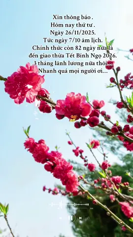 Xin thông báo chính còn 82 ngày nữa là đến Giao thừa Tết Bính ngọ 2026 #Tết #Tết2026 #tetbinhan #tetsumvay #xhhhhhhhhhhhhhhhhhhhhhhh 