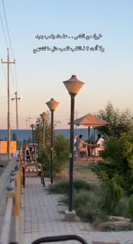 شاركـونا عباراتكم 🫥 . #fyp #foryou #f #الشعب_الصيني_ماله_حل😂😂 #ربيعه_ديار_شمر 