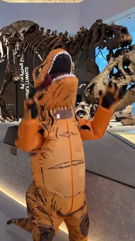 Caught bro screaming جديييييي at the Natural History Museum Abu Dhabi