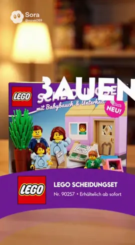 #fyp #viral #lego #parodie #scheidung 