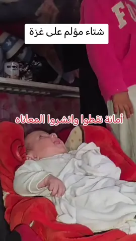 شتاء مؤلم على غزة#غزة_تستغيث #غزة_تناديكم #أنقذوا_غزة #غزة_أمانة #الخليج_العربي_اردن_عمان_مصر_تونس_المغرب 