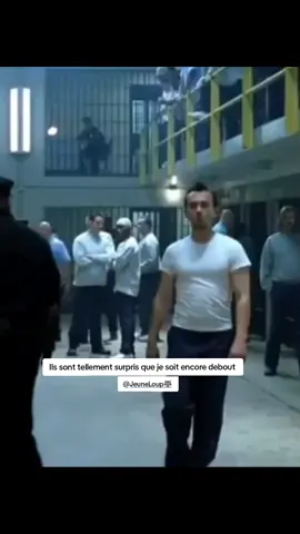 Je suis un pu...tain de prédateur 