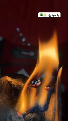 #lalishnurani🦚 #lalish #ezidxan #ezidi #shingal74 