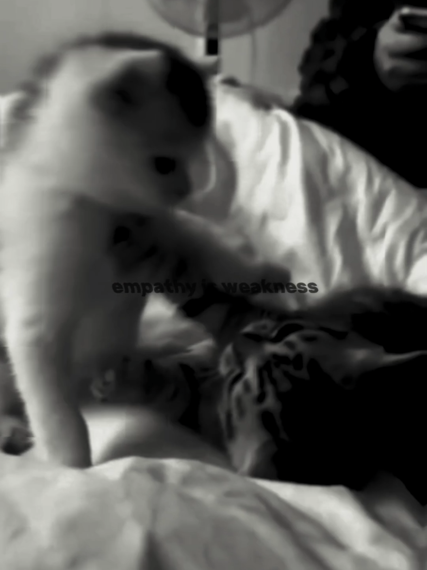 #cat #sinister #empathy #iqmaxx #краснов  @Rapenist 3.0 