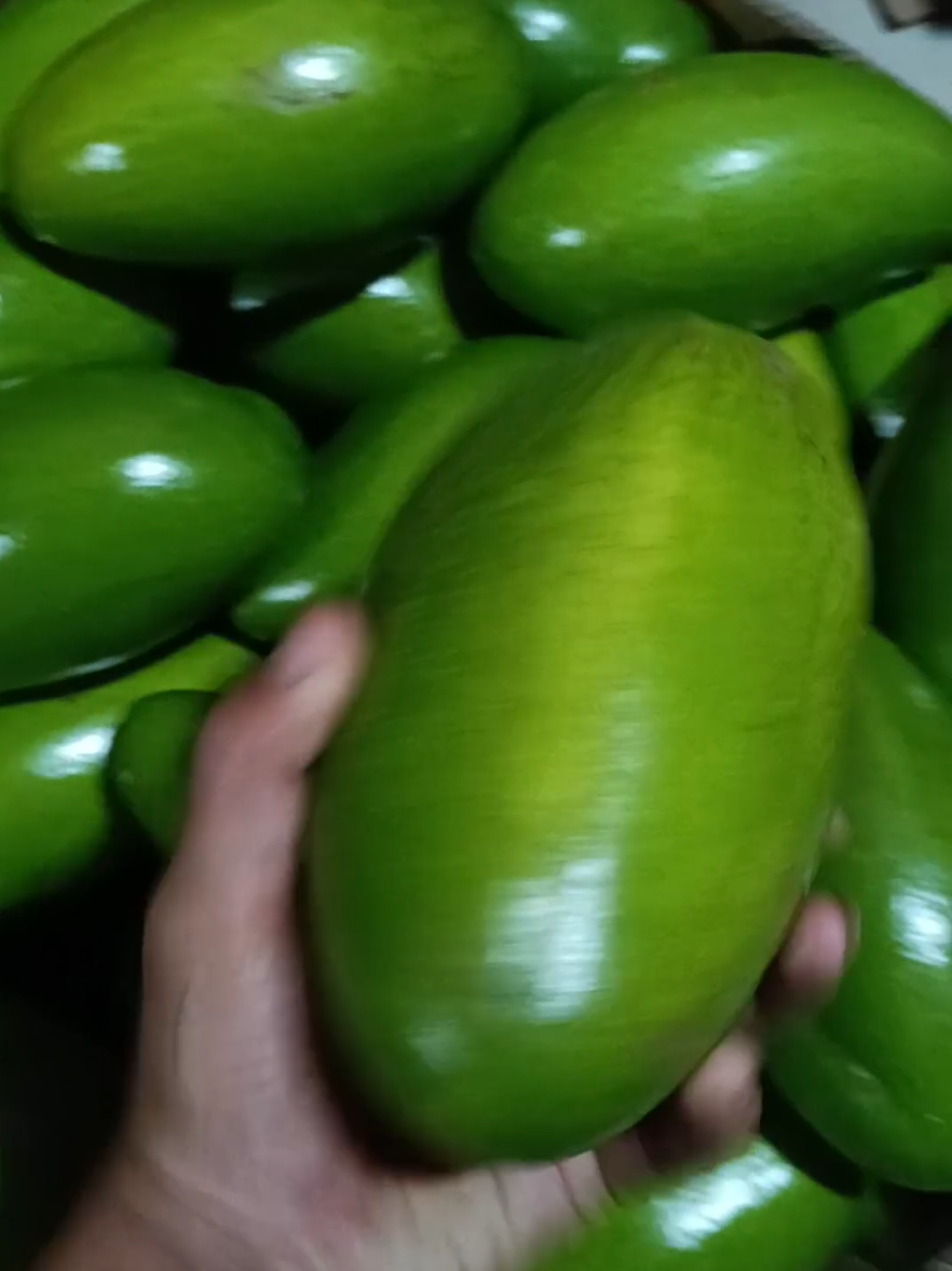 Ok baik #trandingvideo #alpukatsiger #masukberanda #fyp #fyppppppppppppppppppppppp 