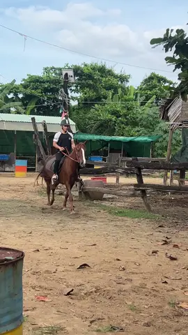 “Gió, cát… và một chiến binh” 🔥🔥🔥 #muitrongvinhmma 