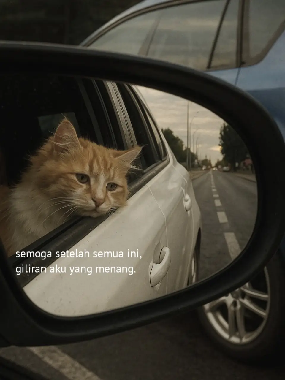 Bahan-bahan: - 1 kg ayam, potong-potong - 2 siung bawang putih, cincang - 2 siung bawang merah, cincang - 2 buah cabe rawit, cincang - 2 buah cabe merah, cincang - 1 sendok makan jahe, cincang - 1 sendok makan kunyit, cincang - 1 sendok makan lengkuas, cincang - 1 sendok makan serai, cincang - 1 lembar daun jeruk, cincang - 1 sendok makan kecap manis - 1 sendok makan saus sambal - 1/2 sendok teh garam - 1/4 sendok teh gula pasir - 1/4 sendok teh lada bubuk - 2 sendok makan minyak goreng *Cara membuat:* 1. Panaskan minyak goreng dalam wajan, tumis bawang putih dan bawang merah hingga harum. 2. Masukkan cabe rawit, cabe merah, jahe, kunyit, lengkuas, serai, dan daun jeruk. Tumis hingga aromanya keluar. 3. Masukkan ayam dan aduk hingga ayam berwarna kecoklatan. 4. Tambahkan kecap manis, saus sambal, garam, gula pasir, dan lada bubuk. Aduk rata. 5. Masak hingga ayam empuk dan saus mengental. 6. Angkat dan sajikan ayam rica rica dengan nasi putih atau lalapan. *Tips:* - Pastikan ayam cukup empuk sebelum disajikan. - Kamu bisa menambahkan bahan lain seperti sayuran atau jamur untuk memberikan rasa yang lebih kompleks. - Ayam rica rica bisa dibuat dengan berbagai tingkat kepedasan. Selamat mencoba. 🤗 #galaubrutal 