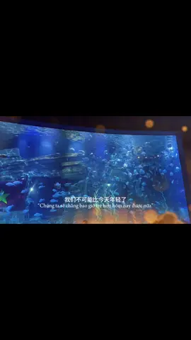 Ngày hôm nay thật tệ, tất cả mọi thứ xảy ra trong 5 năm từ ngày đầu tiên ra trường cứ thế tua chậm lại trong kí ức từng chút từng chút... Gần 30 tuổi rồi... Cảm giác chưa có gì trong tay ngoài những nỗi buồn phiền và lo âu ... 😶  #CapCut #aquarium 