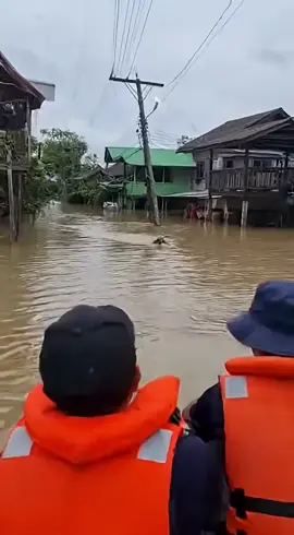 หมาไทยช่วยชีวิตลูกแมว🔥🔥😍คลิปนี้ถูกสร้างขึ้นโดยAI#น้ําท่วมภาคใต้67 #น้ำท่วมหาดใหญ่ #หาดใหญ่สงขลา #น้ําท่วม67 #หมาช่วยชีวิต  เครดิต : Wafer Al Studio