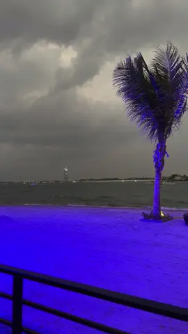 هاذي جده يا جاهلينها 🥺❤️#اكسبلور #جدة_الان #جده 