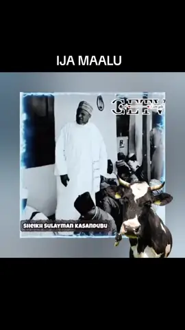 Awọn alfa ti baiye jẹ  kilode naa #everyone 