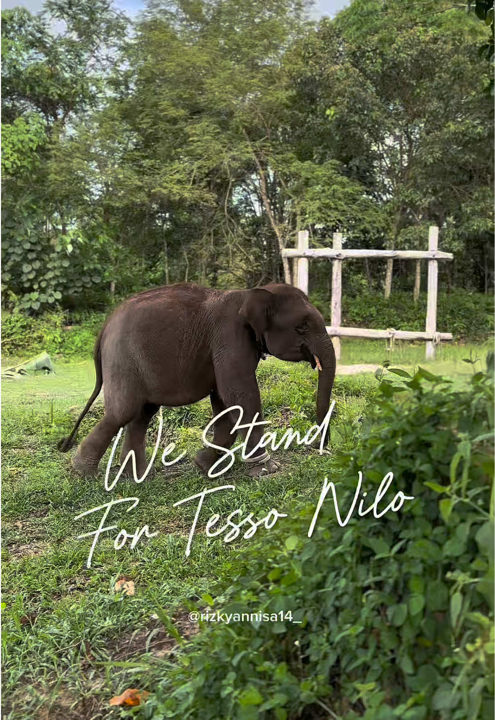 #westandfortessonilo Semoga Allaah jaga sebagaimana mestinya taman nasional ini berfungsi 🤲🏻 Dukungan sepenuhnya untuk @btn_tessonilo  #tntn #tessonilo #domang #tessonilonationalpark  