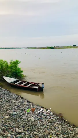 #مهندس #الحود_الزاكه_سفينه_الحاج_علي_الزاكه_ #CapCut #الموصل_دهوك_اربيل_بغداد_كركوك #اجبور_وعز_اجبور🦅⚔️ 