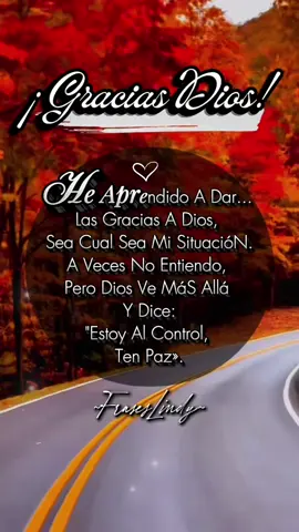 He Aprendido A Dr... Las Gracias A Dios, Sea Cual Sea Mi SituacióN. A Veces No Entiendo, Pero Dios Ve MáS Allá Y Dice: 