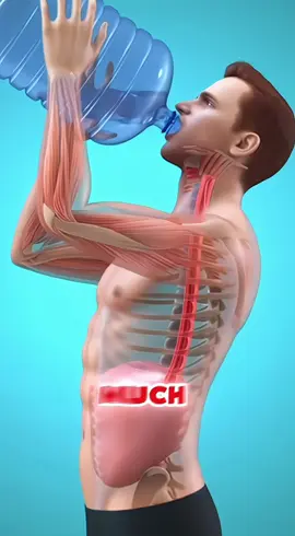 How does your body react when you drink too much water? #drink #drinking #drinkwater #water #usa_tiktok 