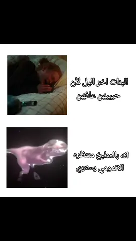 حقيقي😭#ام_جاسمية🇮🇶 #البنات #انه #اندومي #بكاء ا