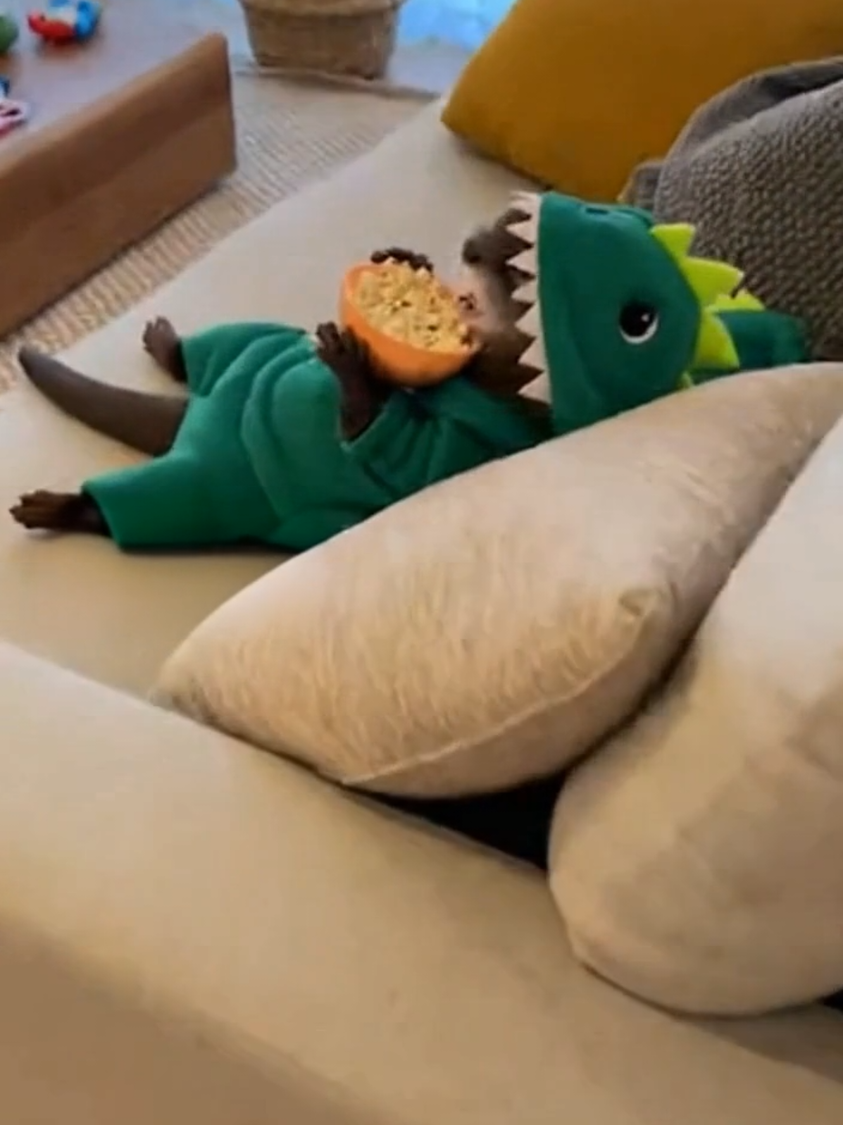 Rawr, are you ready for the movie?🦦🦖 #costume  #cute #fyp #otter #dinosaur 