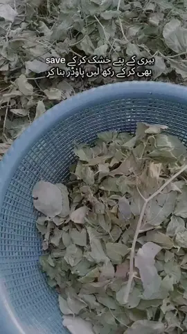 #creatorsearchinsights #fyppppppppppppppppppppppp #foryoupage #terding #foryou 