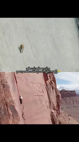 #wangyibo  #creatorsearchinsights 