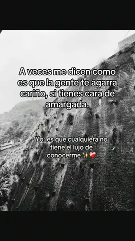 #viral_video #viraltiktok #seguidor 