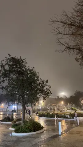 الباحه اليوم❄️ #الباحه #غابه_رغدان #شتاء #explore #foryou 