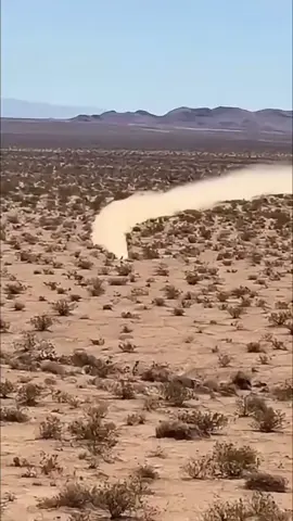 Looney Tunes _Fast and Furry-ous_ sprinting in the desert 😂 #coyote #roadrunner