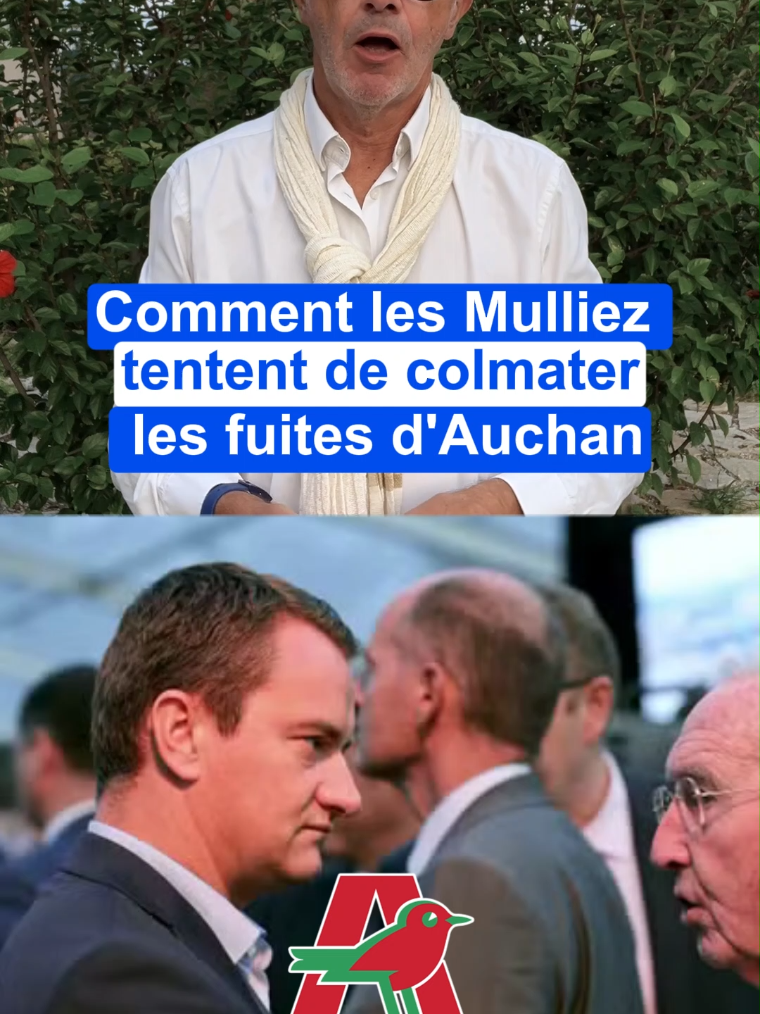 Les Mulliez font face à leur plus gros défi : sauver Auchan, leur joyau historique qui prend l’eau.  Entre hypermarchés qui se vident, recapitalisation d’urgence et plans sociaux, le paquebot vacille. Et pendant que Gérard Mulliez, le patriarche, publie ses mémoires, la famille, 8eme fortune française avec 26 Milliards d'euros, tente de colmater les fuites pour éviter le naufrage. 👉 Envie de comprendre les coulisses des grandes fortunes françaises ? Abonnez-vous à notre newsletter, lien en bio ! #Économie #Distribution #Auchan #Mulliez #hypermarchés