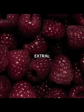 EXTRAL اغنيتي المفضلة كمان ادمان ❤️🫀#jennie #مالي_خلق_احط_هاشتاقات #لايك_متابعه #شعب_الصيني_ماله_حل😂😂 #blackpink 