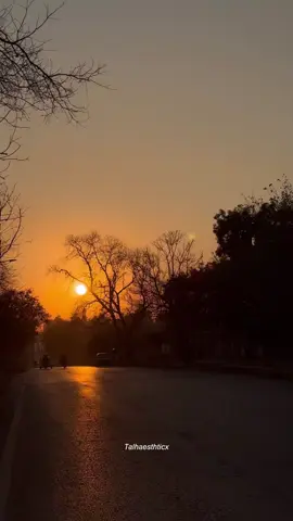 Bhai hai wakeel❤️‍🩹 #fyp #musaddiqofficial @Musaddiq Munir 