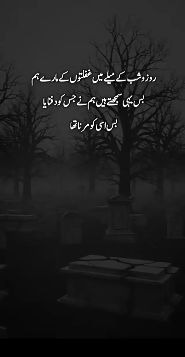 #unfreezemyacount #creatorsearchinsights 