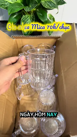Cốc nhựa mica loại 450ml #dogiadung #dodunggiadinh #dodungnhabep #nhuavietnhat 