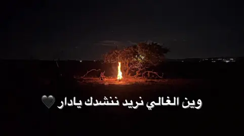 وين الغالي؟#تصويري📸 #مرسكاوي_ليبي #بوعبعاب #تصوير_ليلي 